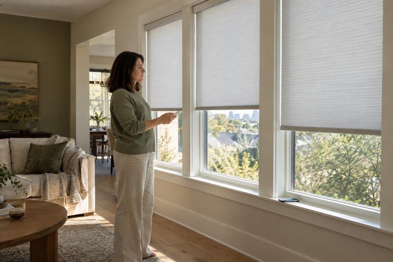 Motorized Window Treatment Power and Smart Controls: How to Choose Battery, Hardwired, App, and Grouping Options